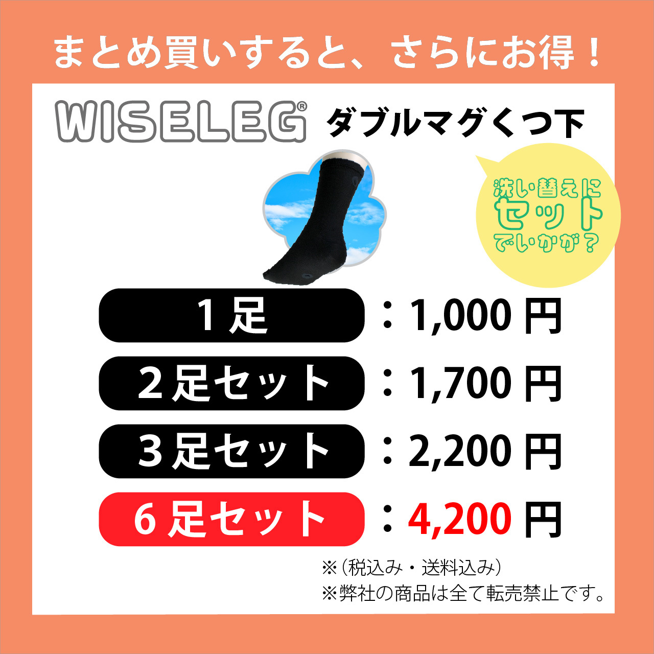 磁気レッグウェア WISELEG(ワイズレック）ダブルマグ くつ下 セット価格