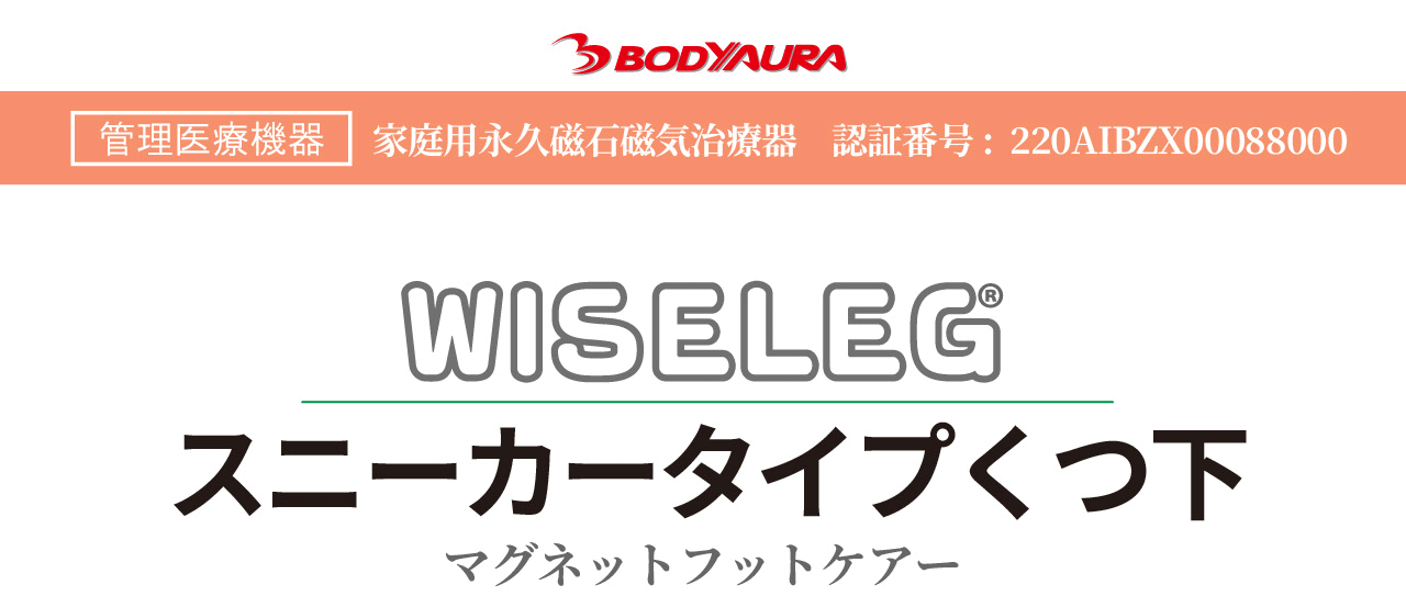 WISELEGスニーカータイプくつ下