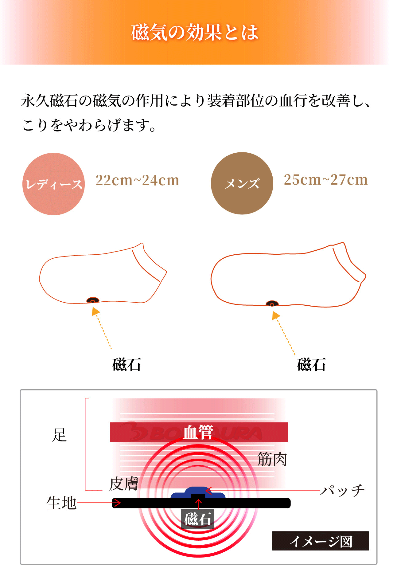 マグネットフットケアWISELEGスニーカータイプくつ下
