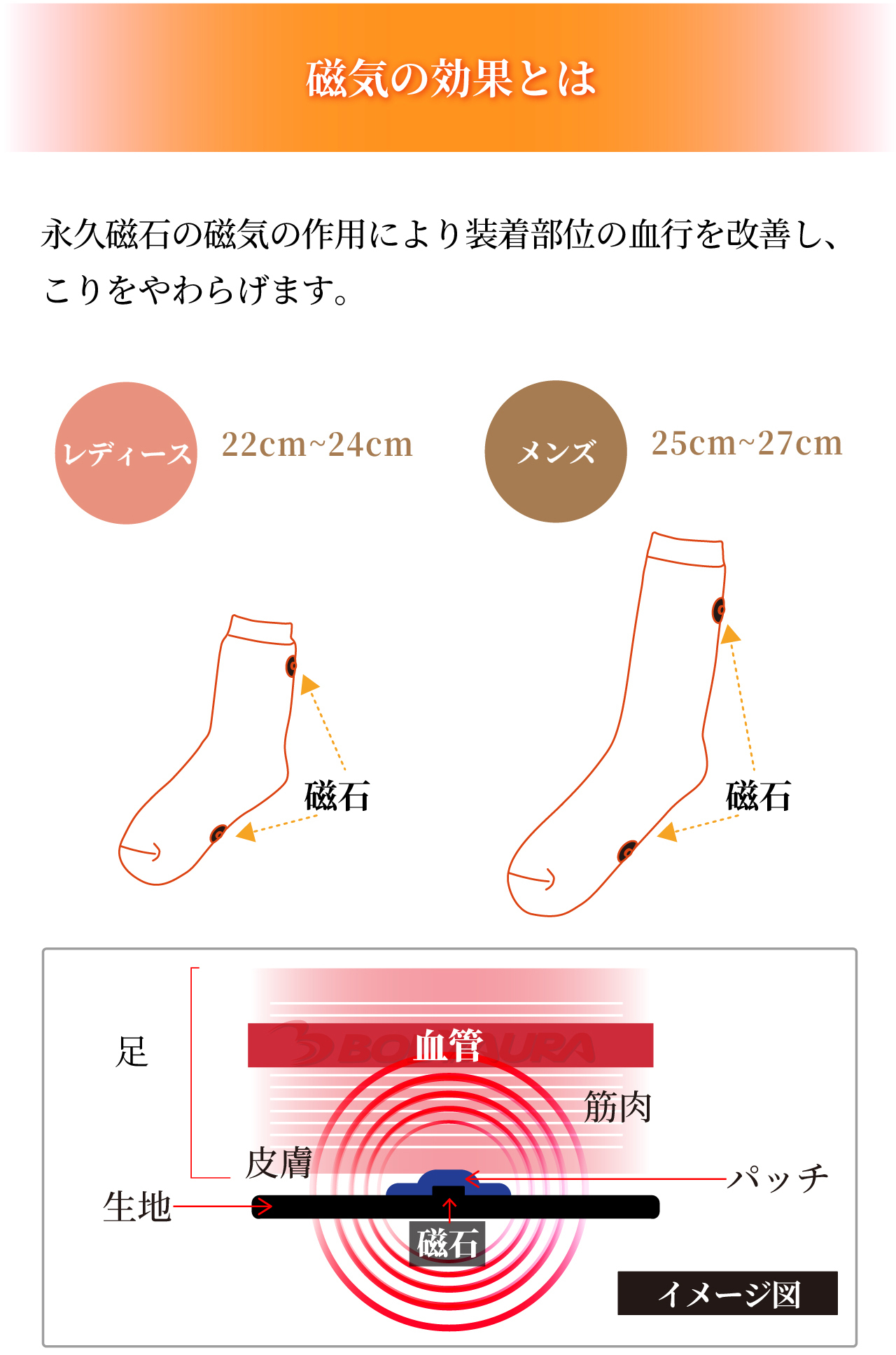 管理医療機器 磁気レッグウエアWISELEGダブルマグくつ下 磁気の効果とは