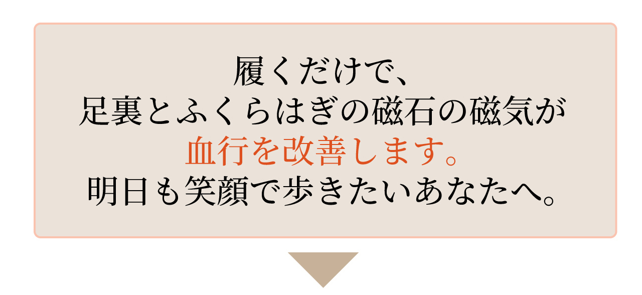 磁気レッグウエアWISELEGダブルマグくつ下 履くだけで血行を改善