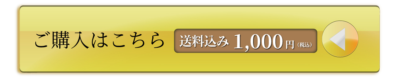 管理医療機器 磁気レッグウエアWISELEGダブルマグくつ下 ご購入はこちら