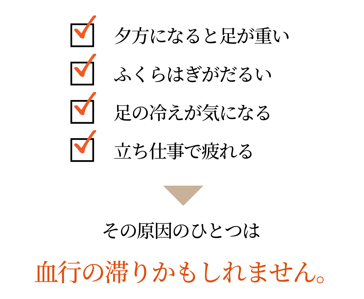 磁気レッグウエアWISELEGダブルマグくつ下 こんなお悩みチェックシート