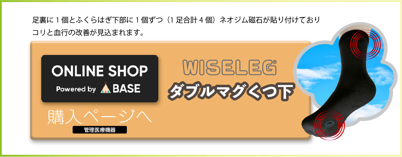 マグネットフットケアWISELEGスニーカータイプくつ下購入ページ