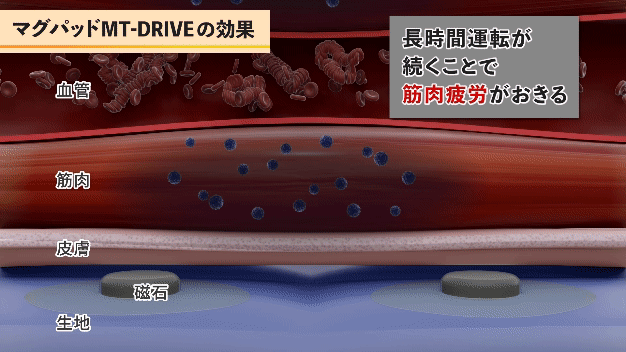MT-DRIVEカーシートカバー特長１は磁気の力でコリと血行の改善